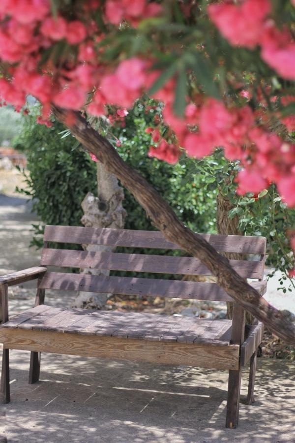 The Ranch Vila Kfar Hazir Exterior foto